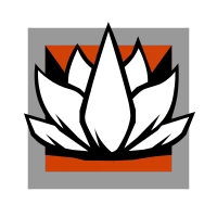 Aruni